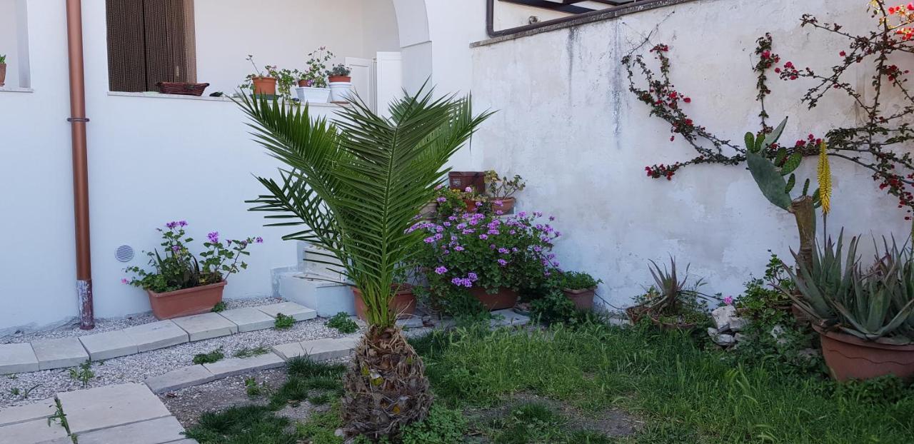 La Casa Sul Porto Apartment